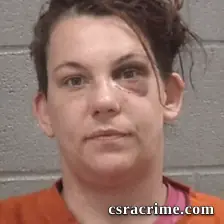 Ashley Nicole Spinks booking photo