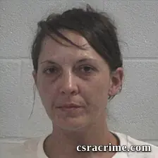 Ashley Nicole Stamey booking photo