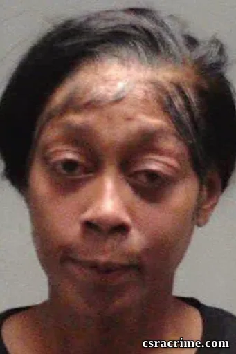 Ashley Nicole Young booking photo