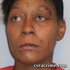 Ashley Nicole Young booking photo