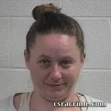 Ashley Renee Tyrrell booking photo