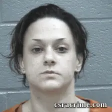 Ashley Reynolds booking photo