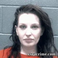 Ashley Rocque booking photo
