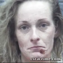 Ashley Shaw booking photo