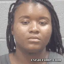 Ashley Suber booking photo