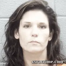 Ashley Williams booking photo