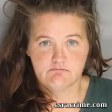 Ashley Wilson booking photo