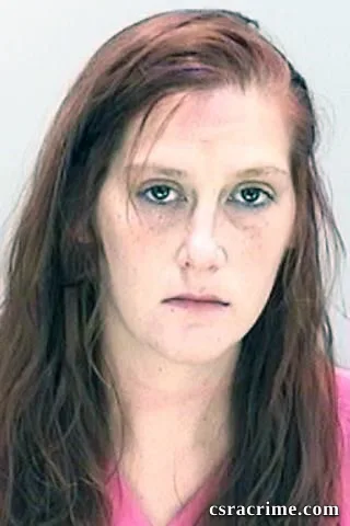 Ashley Wilson booking photo