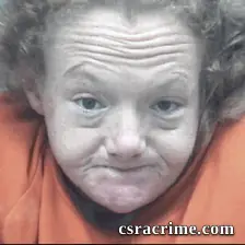 Ashley Wilson booking photo