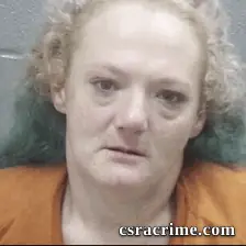 Ashley Wilson booking photo