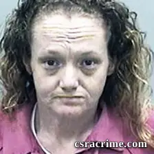 Ashley Wilson booking photo