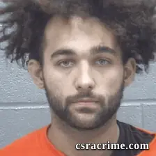 Ashton Brown booking photo