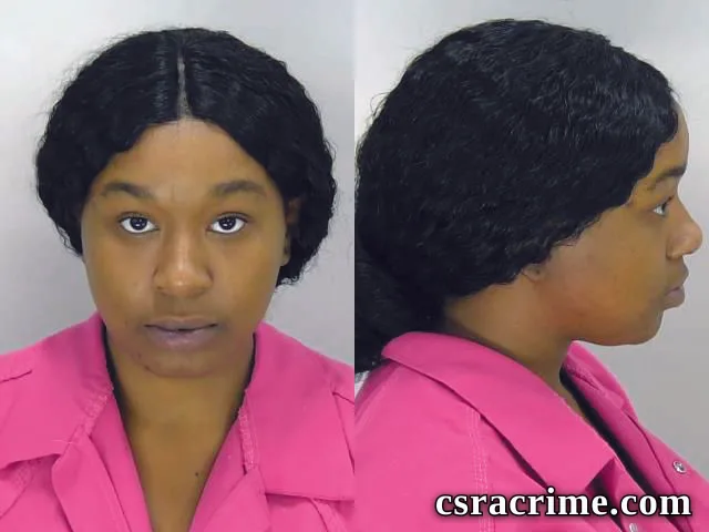 Ashton Turner booking photo