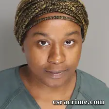 Ashton Turner booking photo