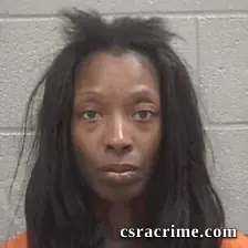 Asia R Johnson booking photo