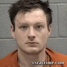 Austin Dale Wheelis booking photo