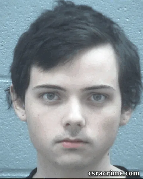 Austin Dennis booking photo