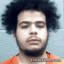 Austin Gay booking photo