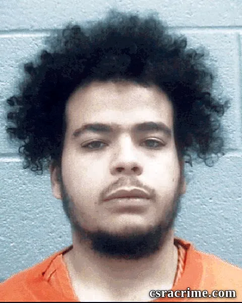 Austin Gay booking photo