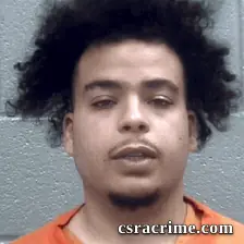 Austin Gay booking photo