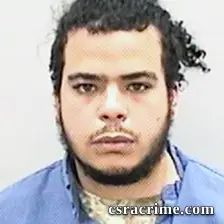 Austin Gay booking photo