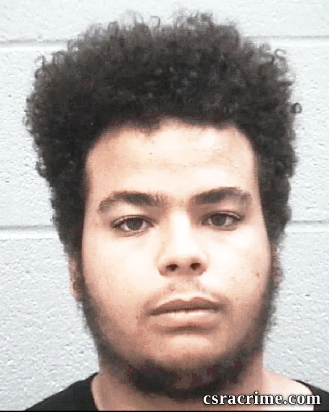 Austin Gay booking photo