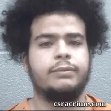 Austin Gay booking photo