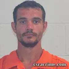 Austin Grant Wilcox booking photo