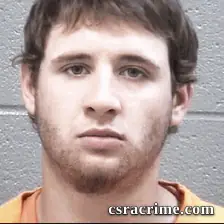 Austin Love booking photo