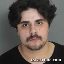 Austin Perks booking photo
