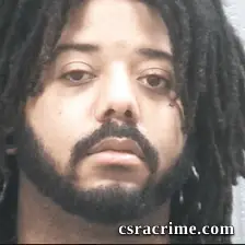 Austin Robertson booking photo