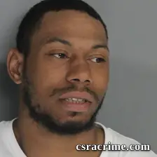 Austin Robinson booking photo