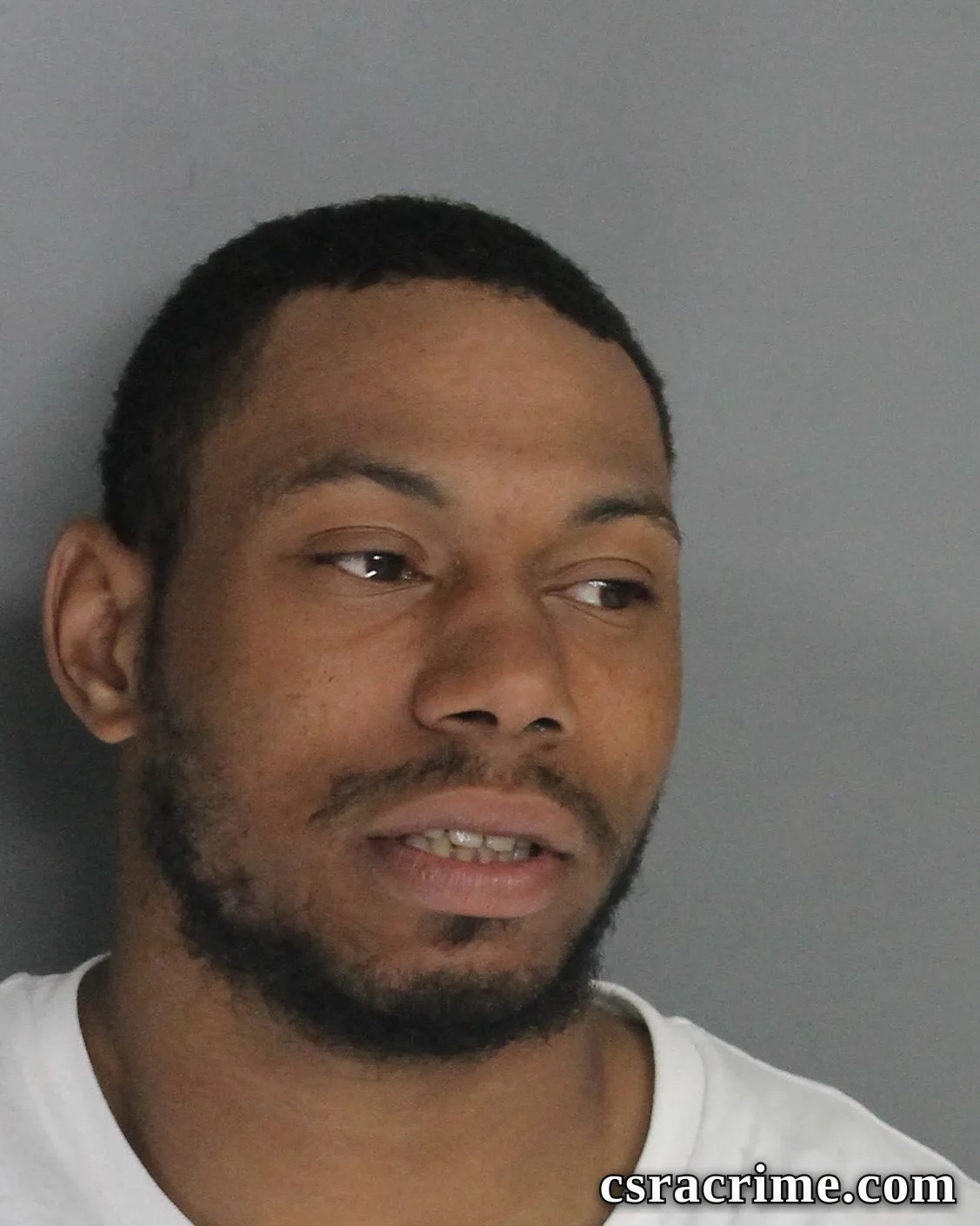 Austin Robinson booking photo