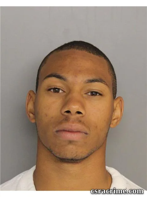 Austin Robinson booking photo