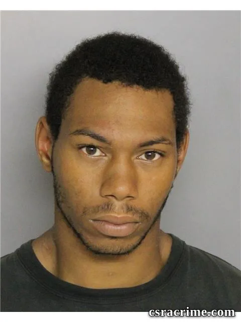 Austin Robinson booking photo
