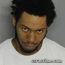 Austin Robinson booking photo
