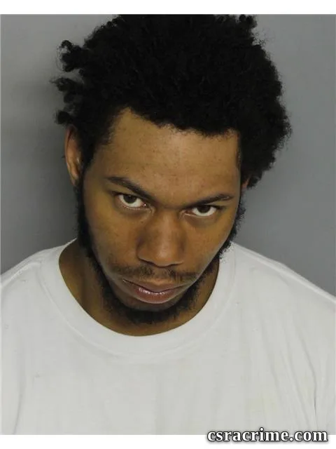 Austin Robinson booking photo