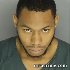Austin Robinson booking photo