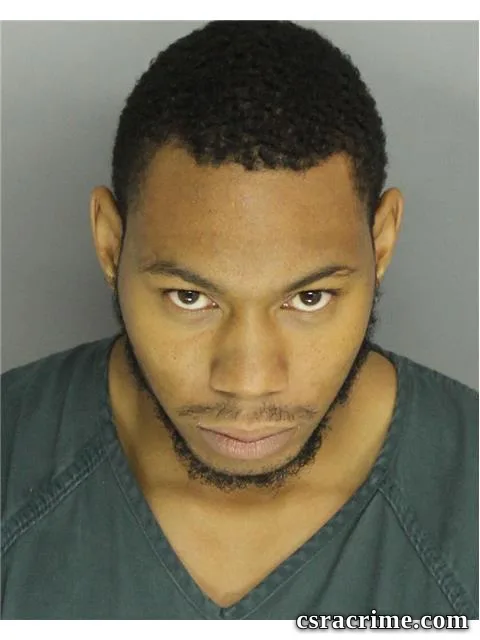 Austin Robinson booking photo