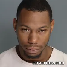Austin Robinson booking photo