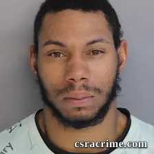Austin Robinson booking photo