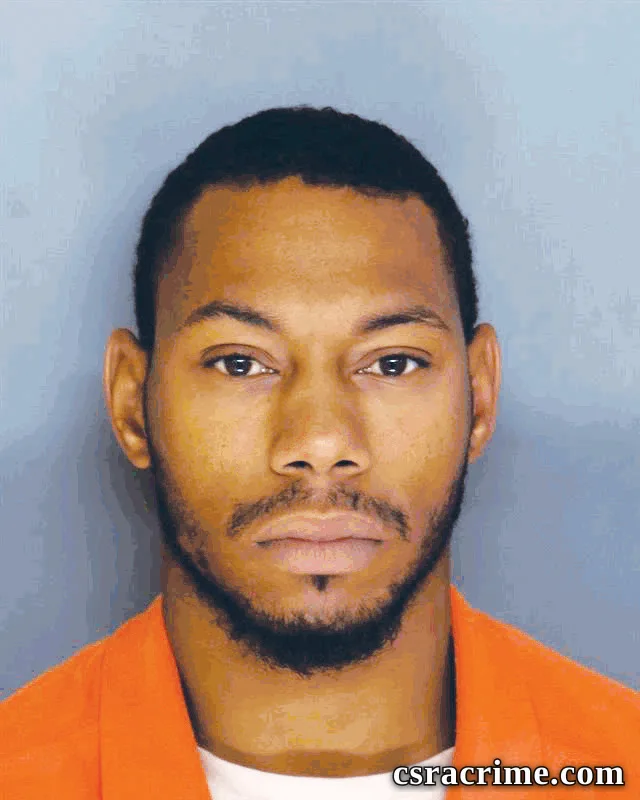 Austin Robinson booking photo