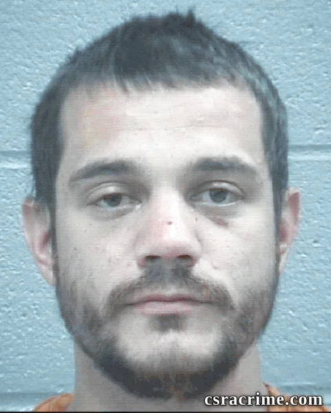 Austin Wilcox booking photo