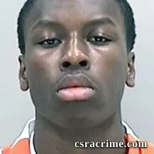 Aveaun Williams booking photo