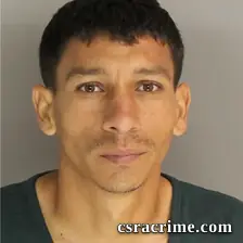 Avergin Mihai booking photo