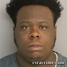 Avery Cameron booking photo