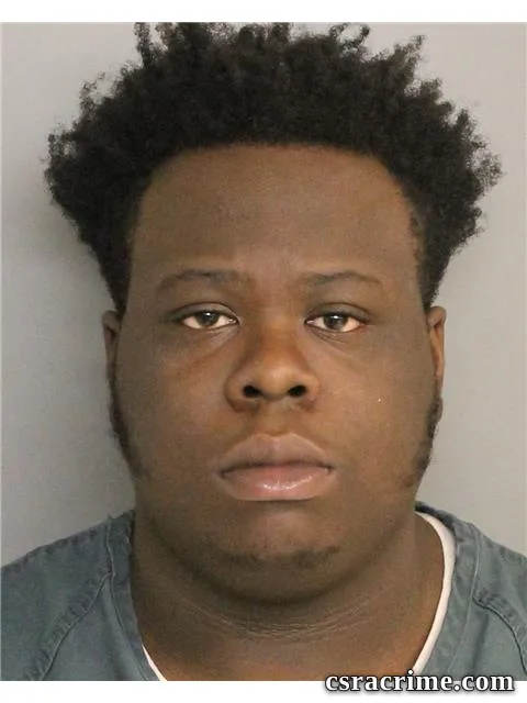 Avery Cameron booking photo