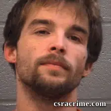 Avery Hollands booking photo