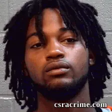 Avis Hampton booking photo