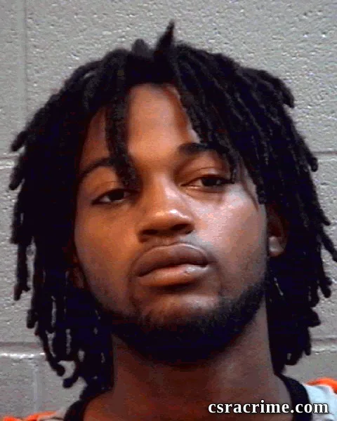 Avis Hampton booking photo